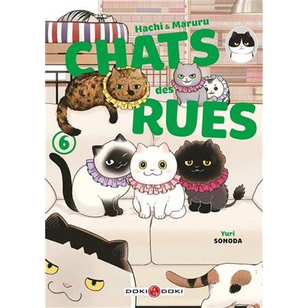 Hachi & Maruru : Chats des rues T.06 : Manga : ADO : SHONEN