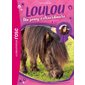 Loulou, un poney extraordinaire : Bibliothèque rose : 6-8