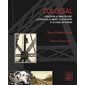 Colossal : Concevoir le canal de Suez, la statue de la liberté, la tour Eiffel et le canal de Panama  Art, archéologie & patrimoine