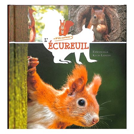 L'écureuil : P'tit curieux