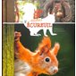 L'écureuil : P'tit curieux