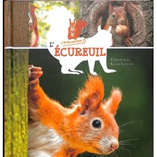 L'écureuil : P'tit curieux