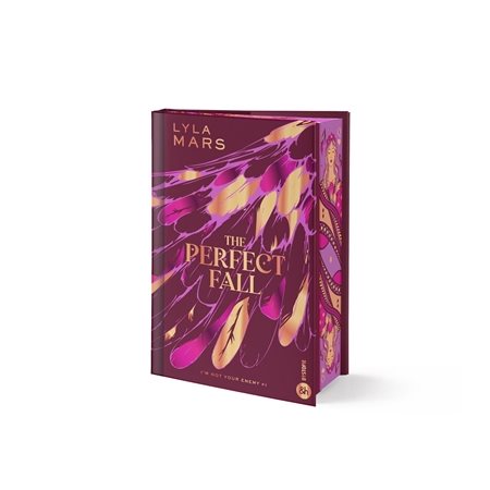 I'm not your enemy T.01 : The perfect fall : Édition collector : NR