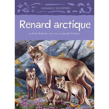 Renard Arctique : Animaux illustrés