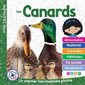 Les canards : Un premier documentaire photos : Mon Louloudoc