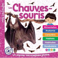 Les chauves-souris : Un premier documentaire photos : Mon Louloudoc