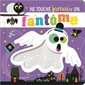 Ne touche jamais un fantôme ! : Livre cartonné