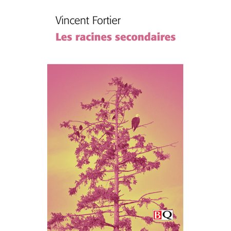 Les racines secondaires (FP) : Bibliothèque québécoise