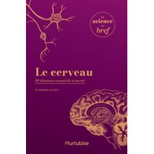 Le cerveau : 10 éléments essentiels à savoir : La science en bref