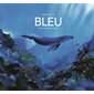Bleu : Une histoire dans la mer : Couverture rigide