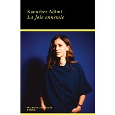La joie ennemie : Ma nuit au musée