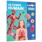 Le corps humain : Ludoc. Découvrir et jouer : Dès 6 ans