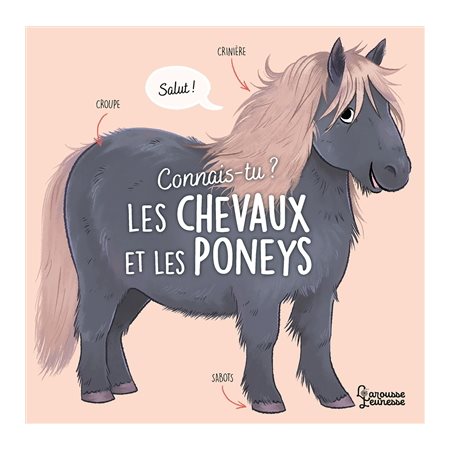 Connais-tu les chevaux et les poneys ? : Présentation de dix types de chevaux et de poneys, avec des informations sur leurs principales caractéristiques, leur vie quotidienne, leur environnement et l