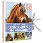Mes plus belles histoires de chevaux : Mon livre posters : Un recueil de quinze histoires de chevaux, accompagnées de leurs posters détachables. D'un côté, le récit, et de l'autre, une illustration p