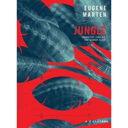 Jungle