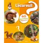 L'écureuil : 40 questions réponses