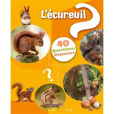 L'écureuil : 40 questions réponses