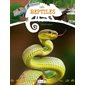 Les reptiles : P'tit curieux