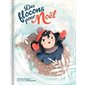 Des flocons pour Noël : Couverture rigide