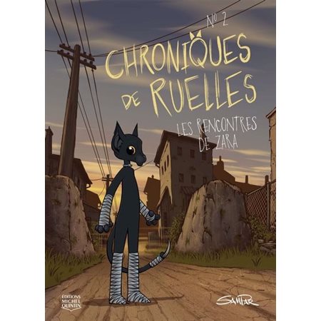 Chroniques de ruelles T.02 : Les rencontres de Zara : Bande dessinée