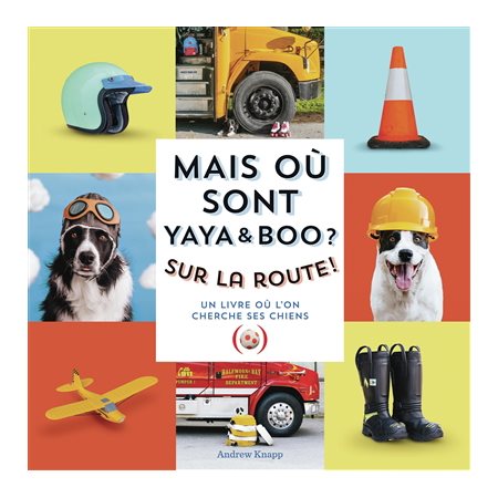 Sur la route ! : Mais où sont Yaya & Boo ? : Un livre où l'on cherche ses chiens : Mais où est Momo ? : Livre cartonné
