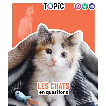 Les chats en questions : Topic