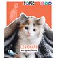 Les chats en questions : Topic