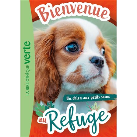 Bienvenue au refuge T.13 : Un chien aux petits soins : Bibliothèque verte. Ma première bibliothèque verte : 6-8