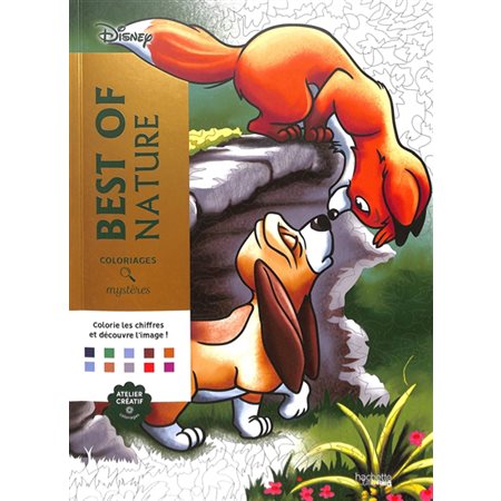 Best of nature : Coloriages mystères Disney : Colorie les chiffres et découvre l'image !
