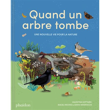 Quand un arbre tombe : Une nouvelle vie pour la nature : Documentaires