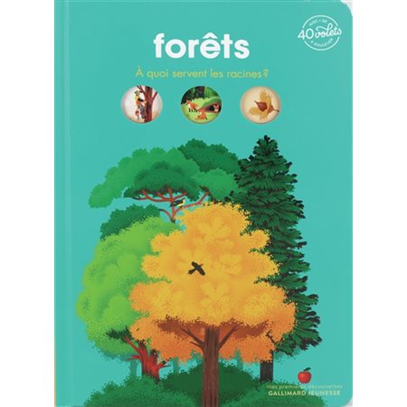 Forêts : À quoi servent les racines ? : Mes premières découvertes. Mon documentaire animé