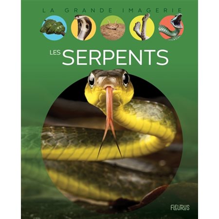 Les serpents : La grande imagerie
