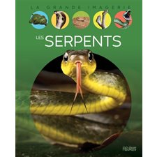Les serpents : La grande imagerie