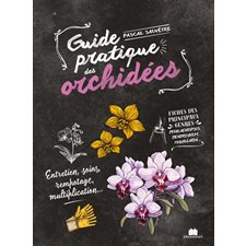 Guide pratique des orchidées : entretien, soins, rempotage, multiplication...