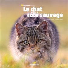 Le chat côté sauvage : Histoires d'images