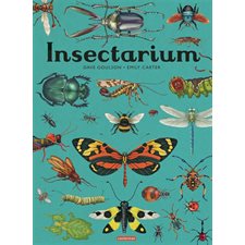 Insectarium : Une exploration du monde des insectes, illustrée de planches naturalistes : hémiptères, diptères, coléoptères, guêpes, fourmis ou encore abeilles.
