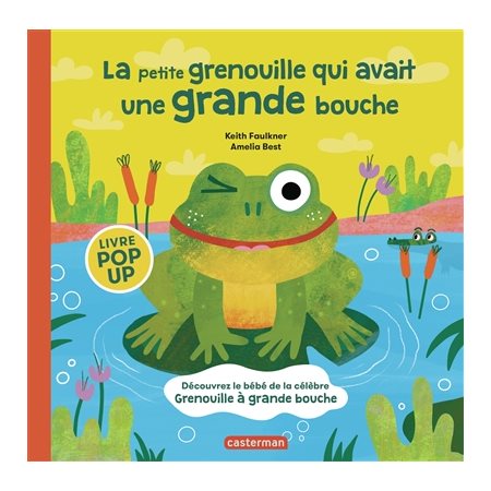 La petite grenouille qui avait une grande bouche :  Mes livres animés Casterman : Livre pop up : Livre cartonné