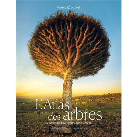 L'atlas des arbres : Un incroyable tour du monde végétal