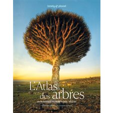 L'atlas des arbres : Un incroyable tour du monde végétal