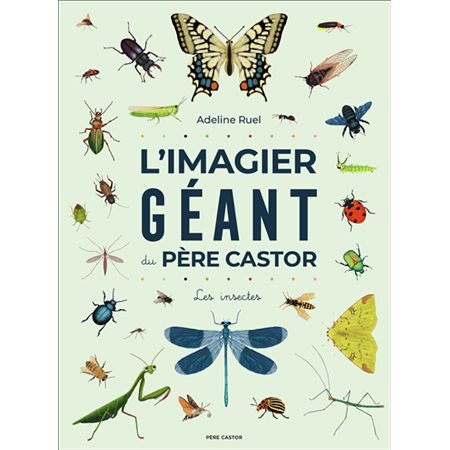 L'imagier géant du Père Castor : les insectes