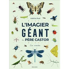 L'imagier géant du Père Castor : les insectes