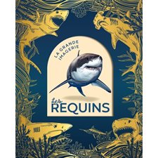 Les requins : La grande imagerie : Nouvelle édition 2026