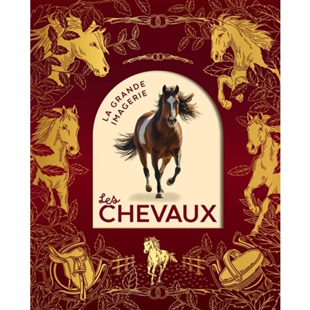 Les chevaux : La grande imagerie : Nouvelle édition 2026