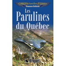 Les parulines du Québec : Familles d'oiseaux