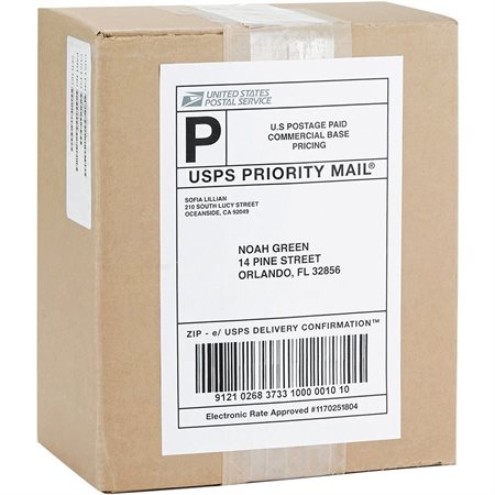Étiquettes d’adresse premium Paquet de 100 feuilles 5-1 / 2 x 8-1 / 2 po. (200)