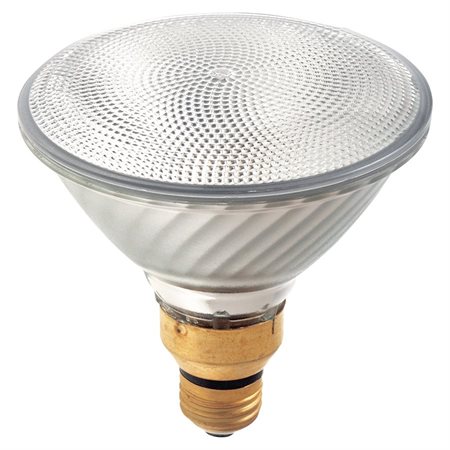 Ampoule halogène PAR39 60W 1090 lumens