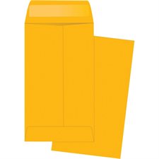 Enveloppe pour pièces de monnaie #5-1 / 2. 3-1 / 8 x 5-1 / 2 po, 20 lb