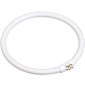 Tube circulaire fluorescent (22 W)