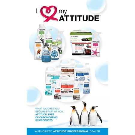 Affiche pour présentoir "Attitude" anglais