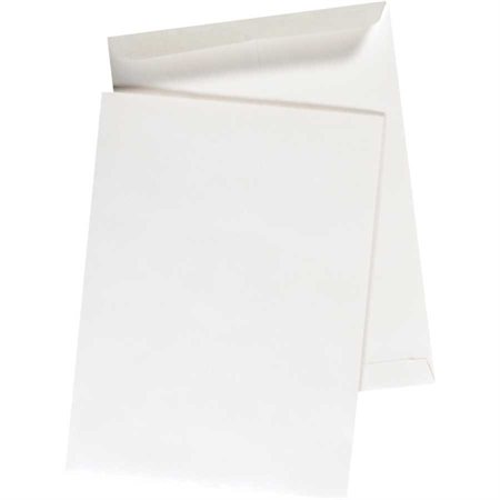 Enveloppe à catalogue blanche 9 x 12 po. pqt 100